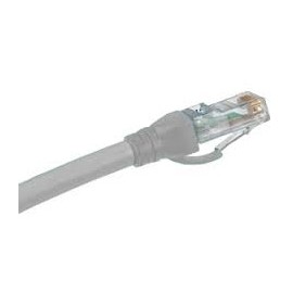 Belden Cable Patch Cat6 UTP RJ-45 Macho - RJ-45 Macho, 2.1 Metros, Gris