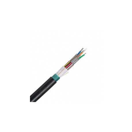 Panduit Cable Trenzado con Armadura de 12 Fibras OS1/OS2, 9/125, Monomodo, Sin Clasificación, 30cm, Negro