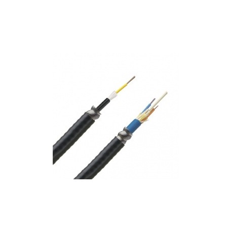 Panduit Cable Central con Armadura de 12 Fibras OM2, 50/125, Multimodo, Riser, 30cm, Negro