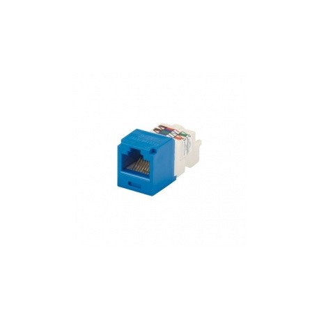 Panduit Jack Mini-Com Categoría 6 UTP de 8 Posiciones para 8 Cables, Azul