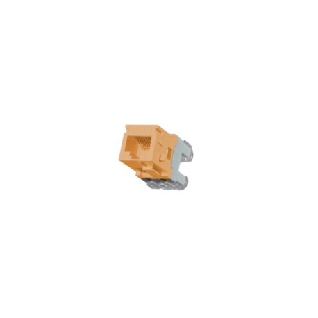 Belden Jack Cat6, RJ-45, Naranja