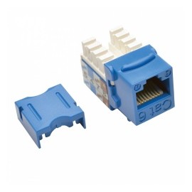 Tripp Lite Jack Cat6/Cat5e, Tipo Punch Down 110, RJ-45 Hembra, Azul