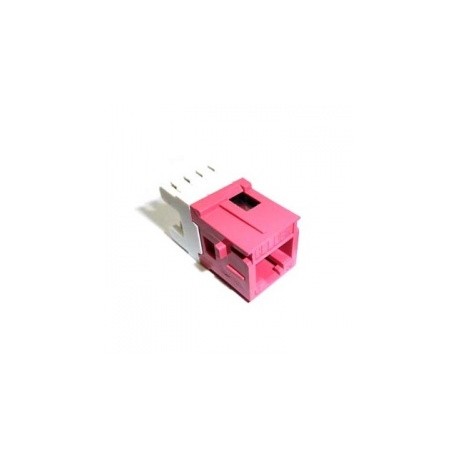 Belden Jack Cat6, RJ-45, Rojo