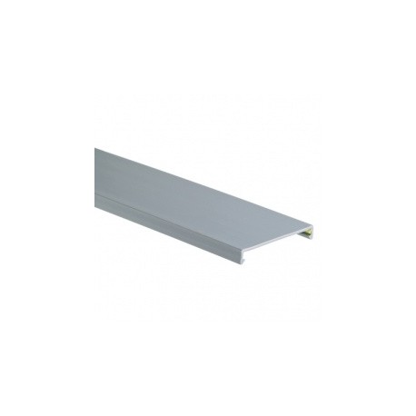 Panduit Tapa para Ducto Ranurado, 4 x 6, PVC, Gris