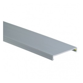 Panduit Tapa para Ducto Ranurado, 2.5 x 6, PVC, Gris