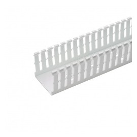 Panduit Ducto Ranurado Tipo F, 4 x 2 x 6, PVC, Blanco