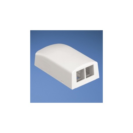 Panduit Caja para 2 Módulos NetKey, Blanco