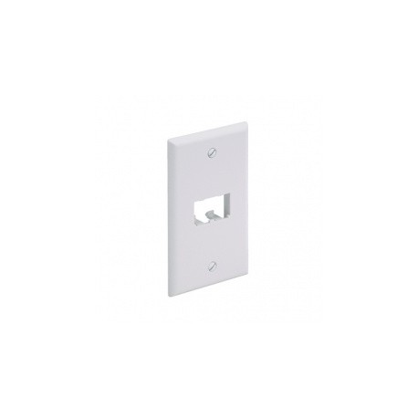 Panduit Placa para Pared 2 Puertos, Blanco