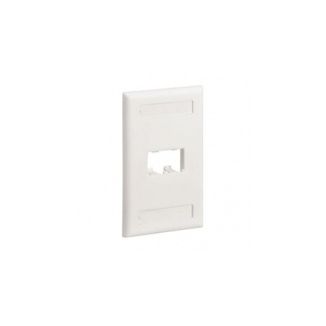 Panduit Placa para Pared, 2 Puertos, Blanca