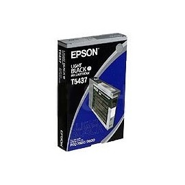 Cartucho Epson T543700 UltraChrome Negro Claro 110ml