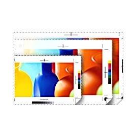 Epson Papel Commercial Semimate, 17'' x 100'