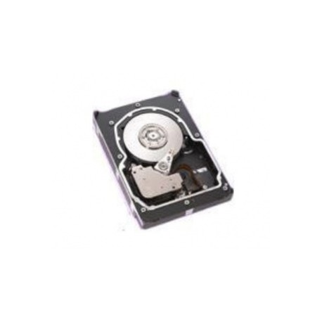 Disco Duro para Servidor Seagate Cheetah 73.4GB SCSI 10.000RPM